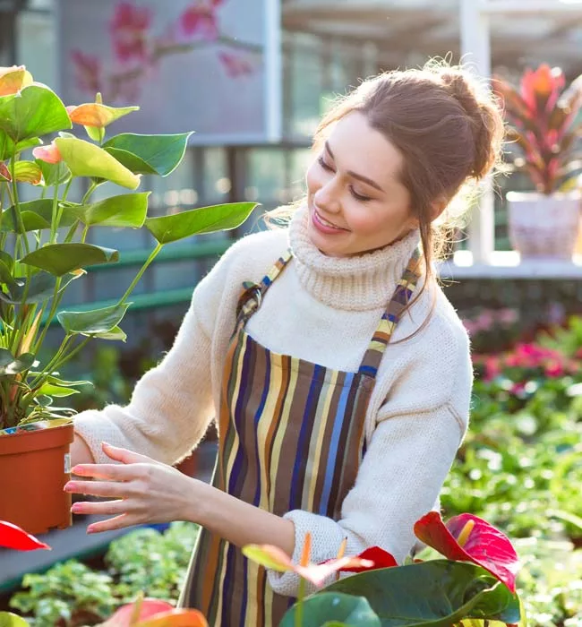 team_02